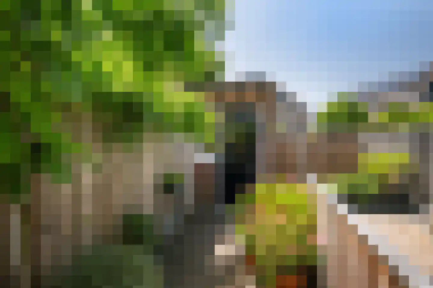Shawdreef 18 Maassluis thumbnail 23
