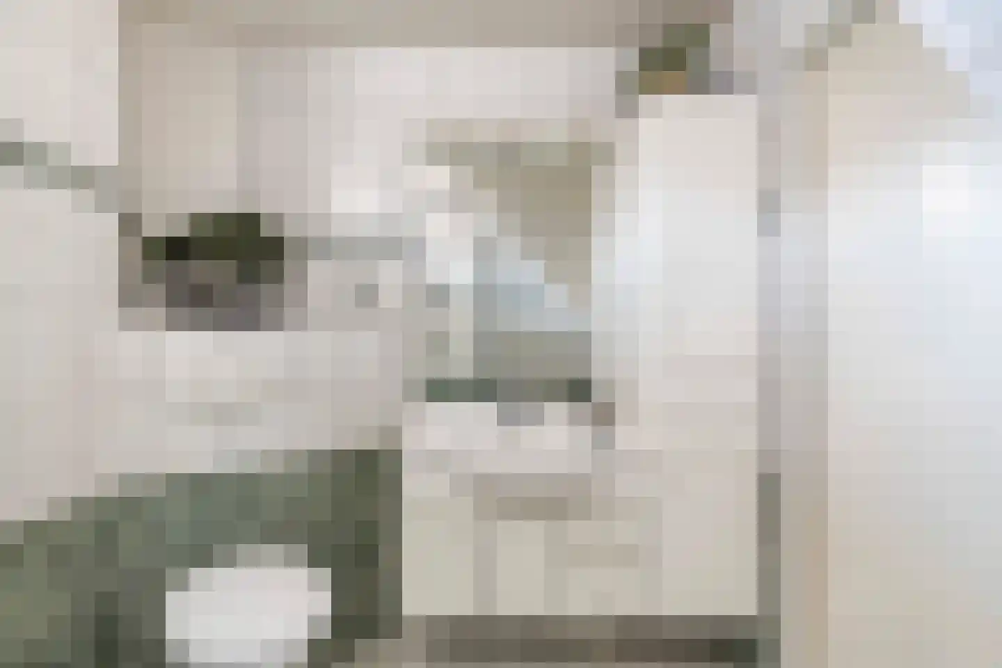 Shawdreef 34 Maassluis thumbnail 23