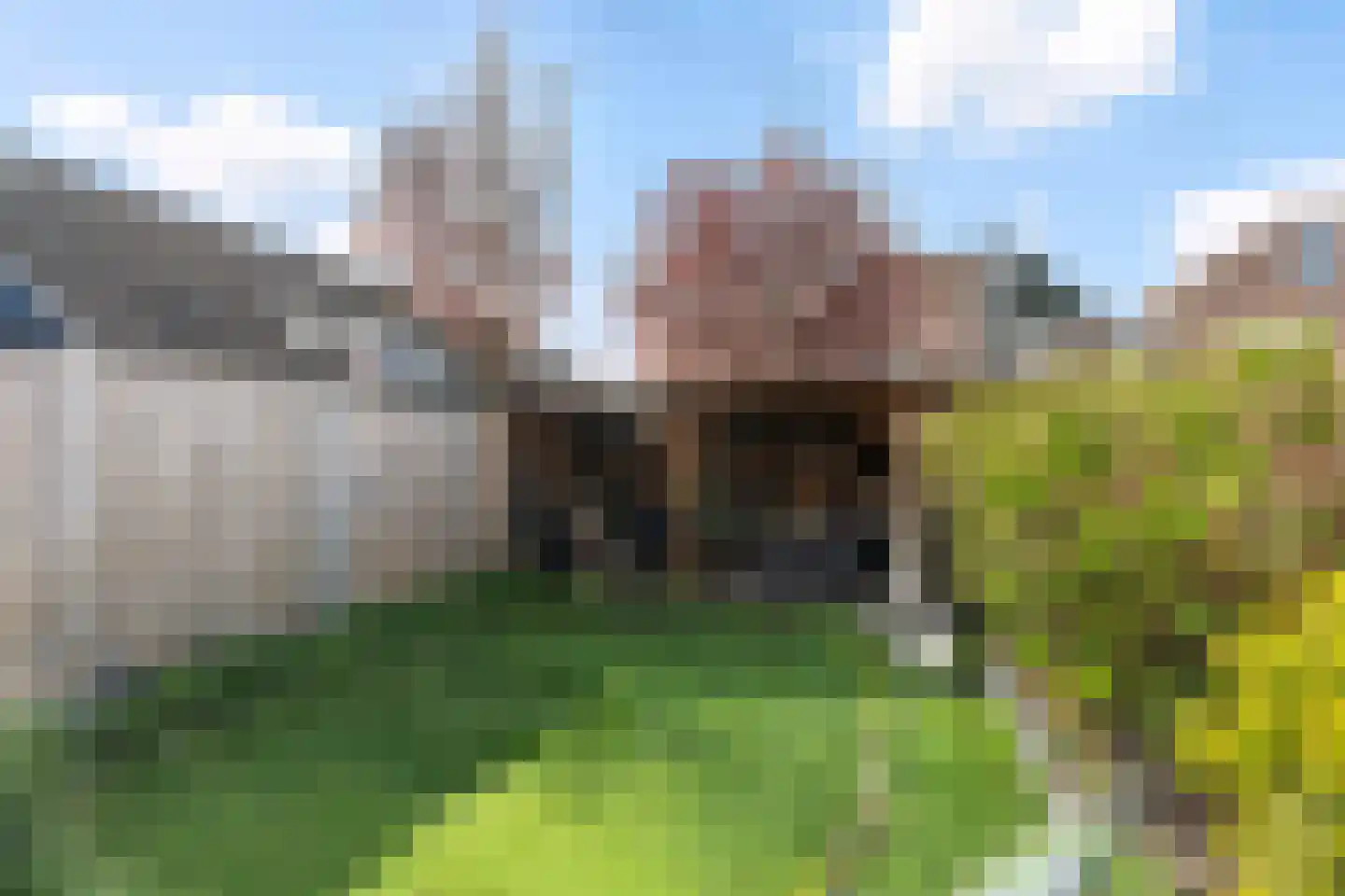 Shawdreef 34 Maassluis thumbnail 28