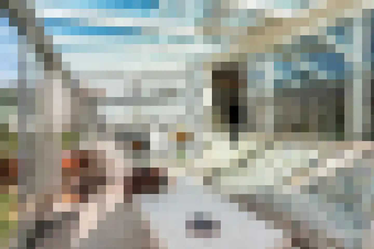 Shawdreef 34 Maassluis thumbnail 9