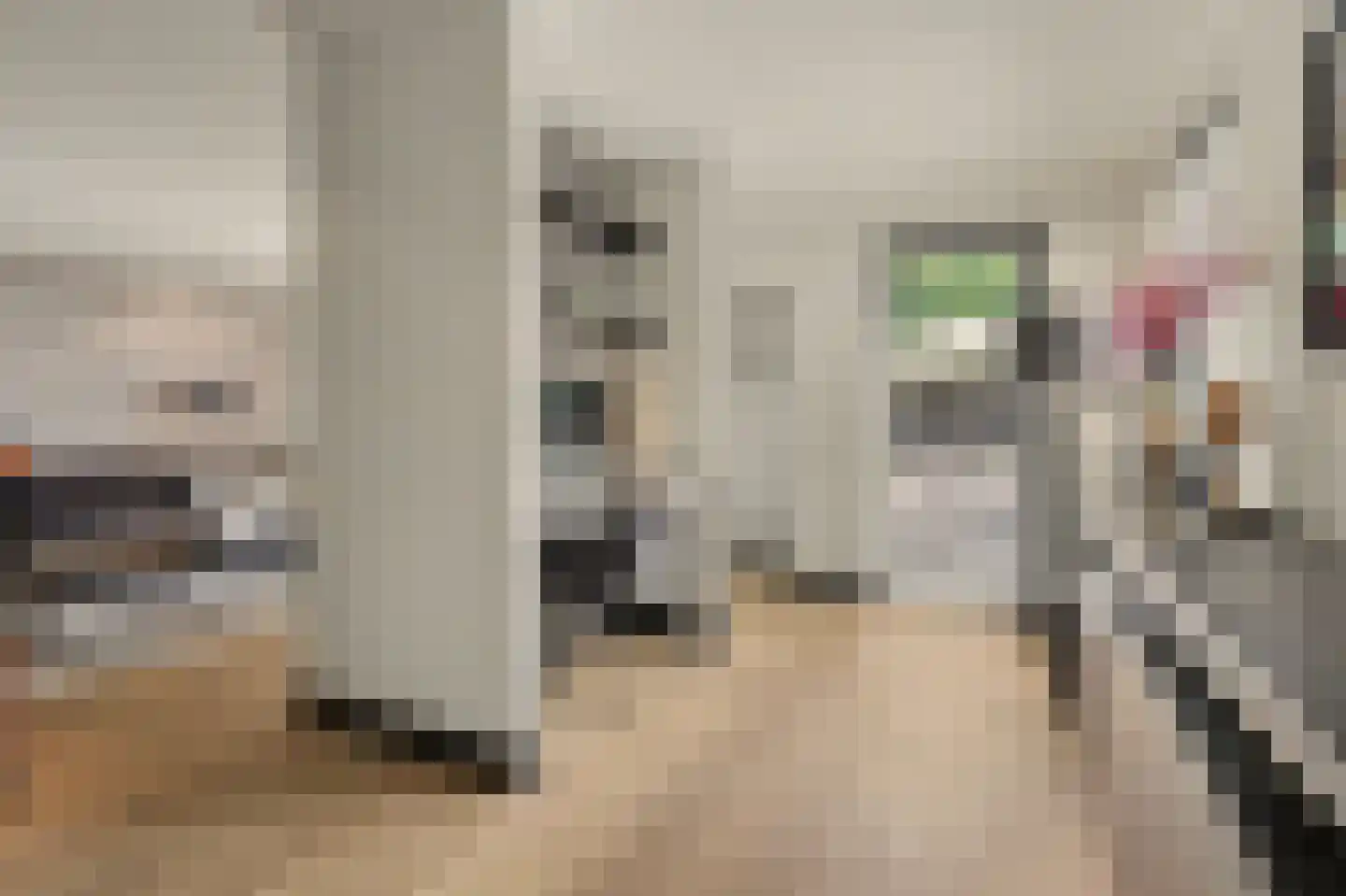 Shepardstraat 4 Hilvarenbeek thumbnail 12
