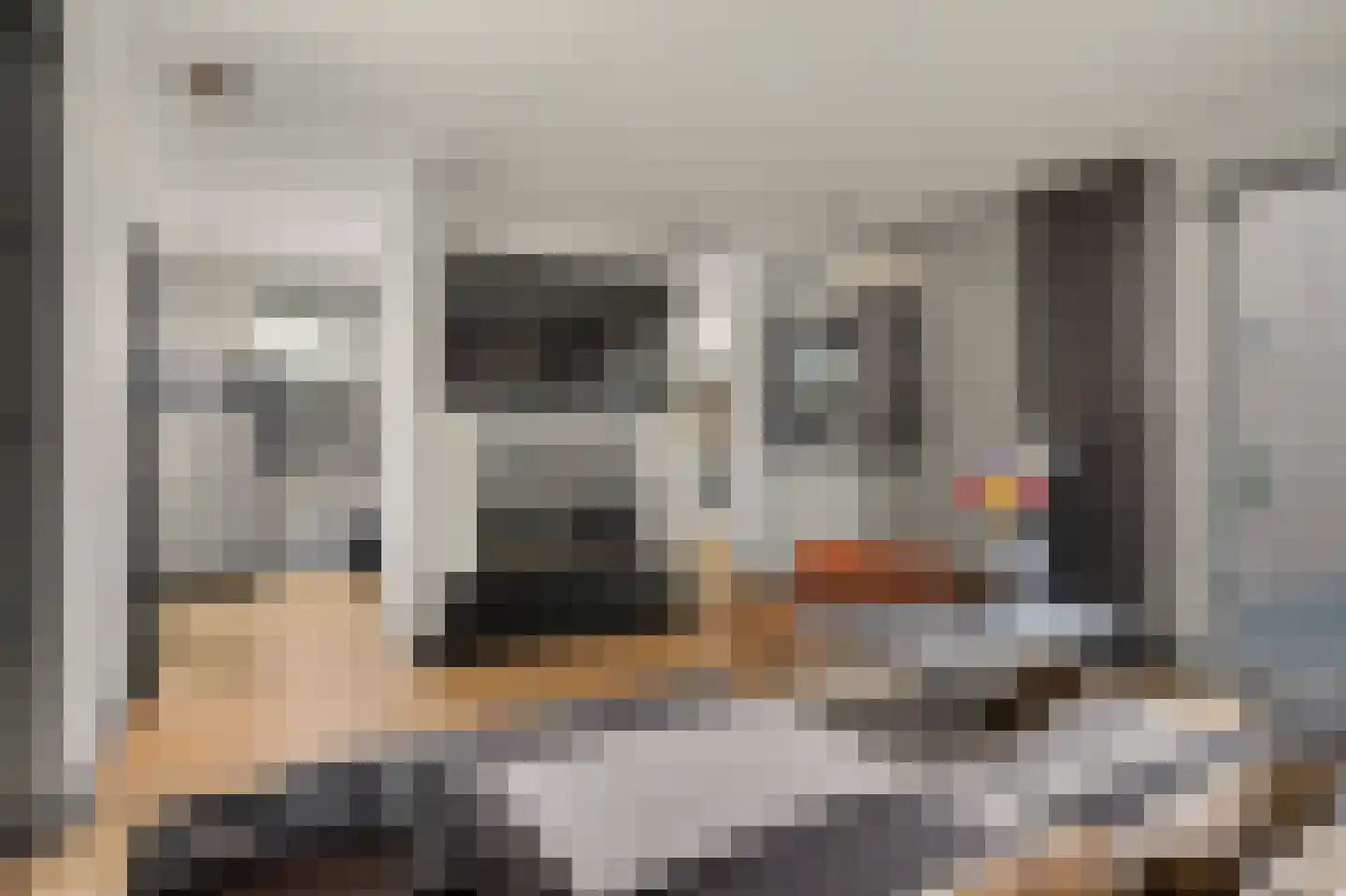 Shepardstraat 4 Hilvarenbeek thumbnail 16