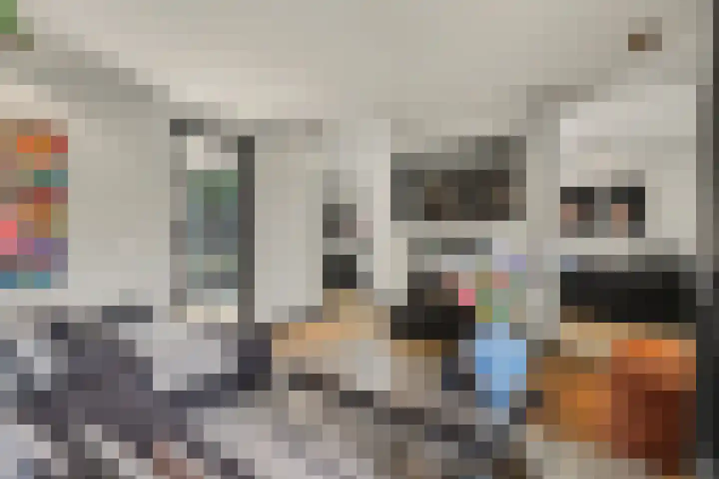 Shepardstraat 4 Hilvarenbeek thumbnail 17