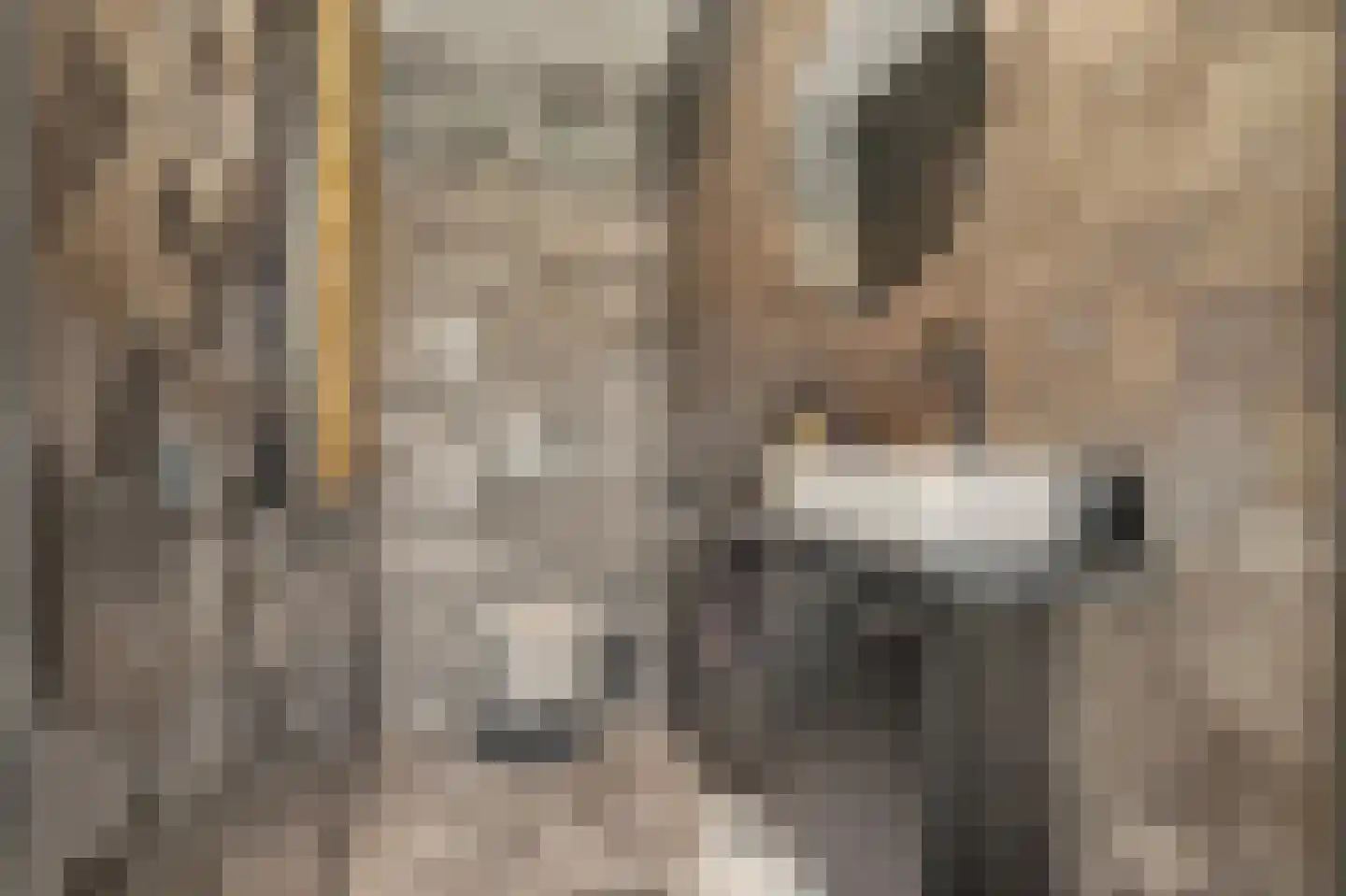 Shepardstraat 4 Hilvarenbeek thumbnail 19