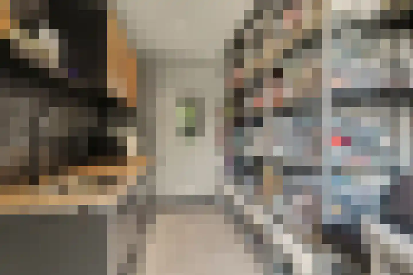 Shepardstraat 4 Hilvarenbeek thumbnail 20