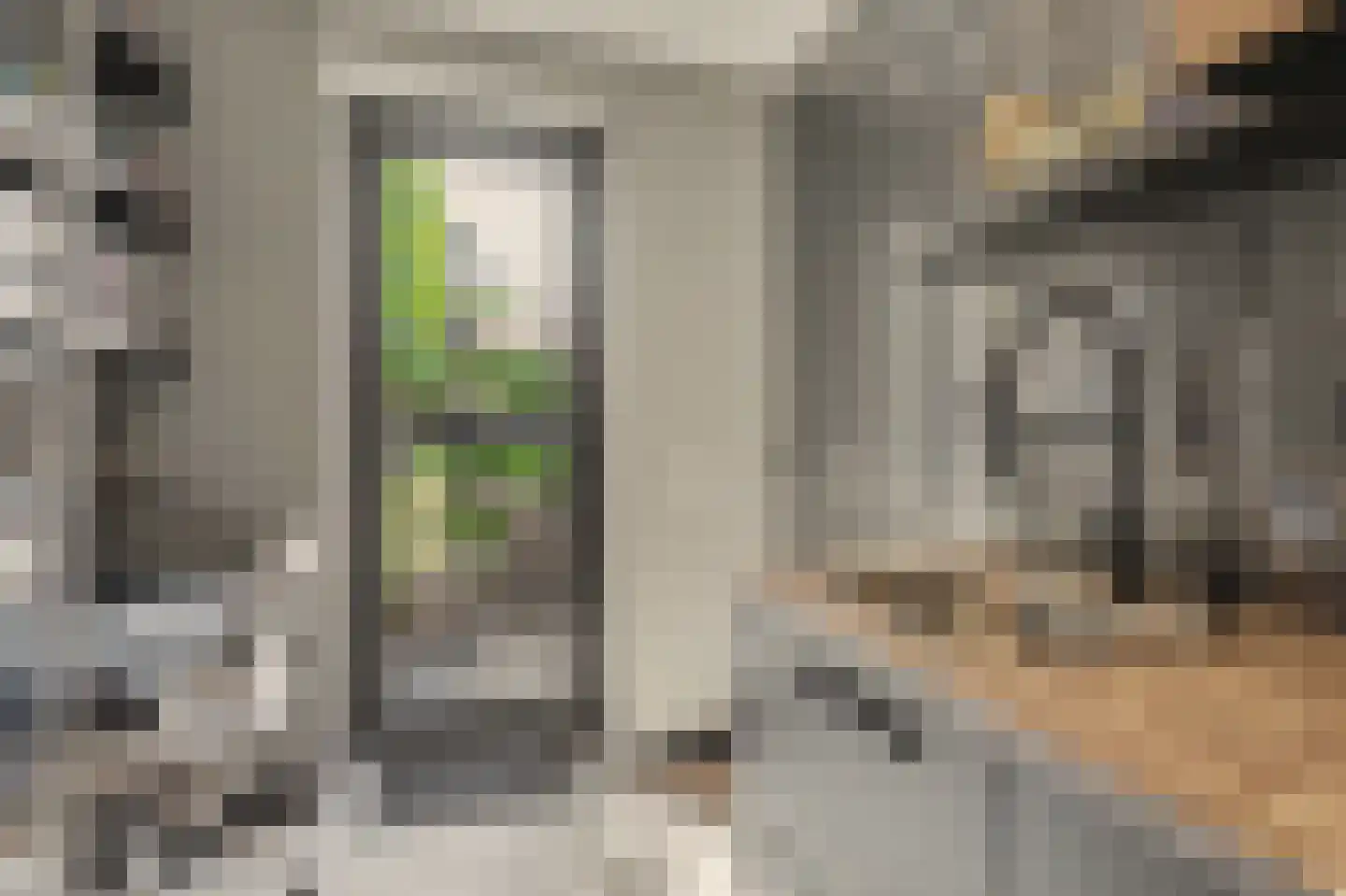 Shepardstraat 4 Hilvarenbeek thumbnail 21