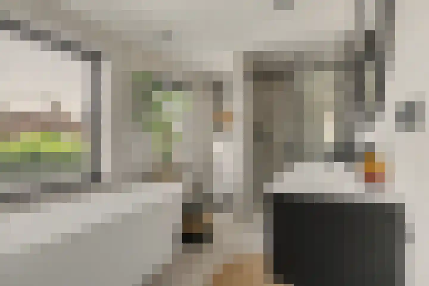 Shepardstraat 4 Hilvarenbeek thumbnail 29