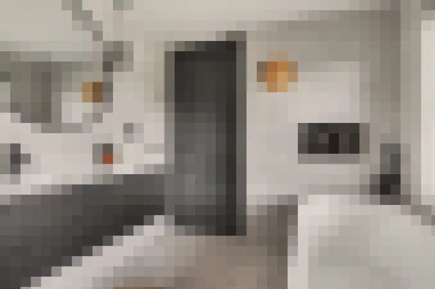 Shepardstraat 4 Hilvarenbeek thumbnail 30