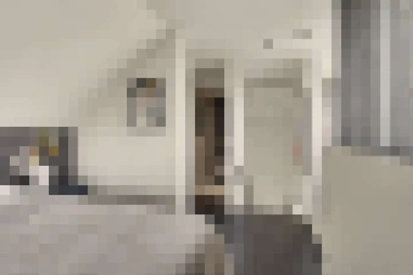 Shepardstraat 4 Hilvarenbeek thumbnail 31