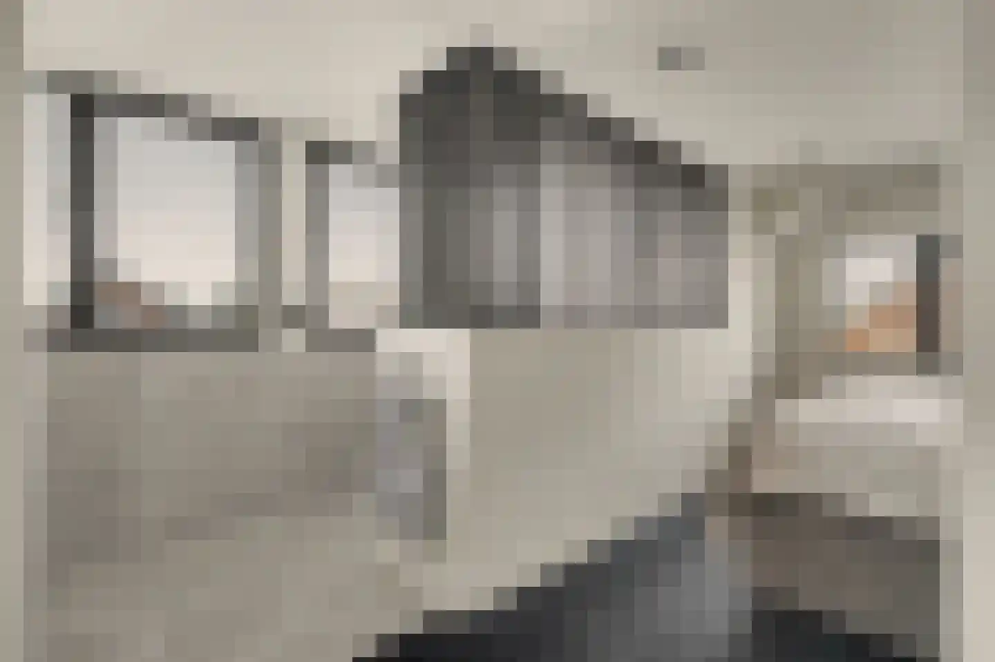 Shepardstraat 4 Hilvarenbeek thumbnail 33