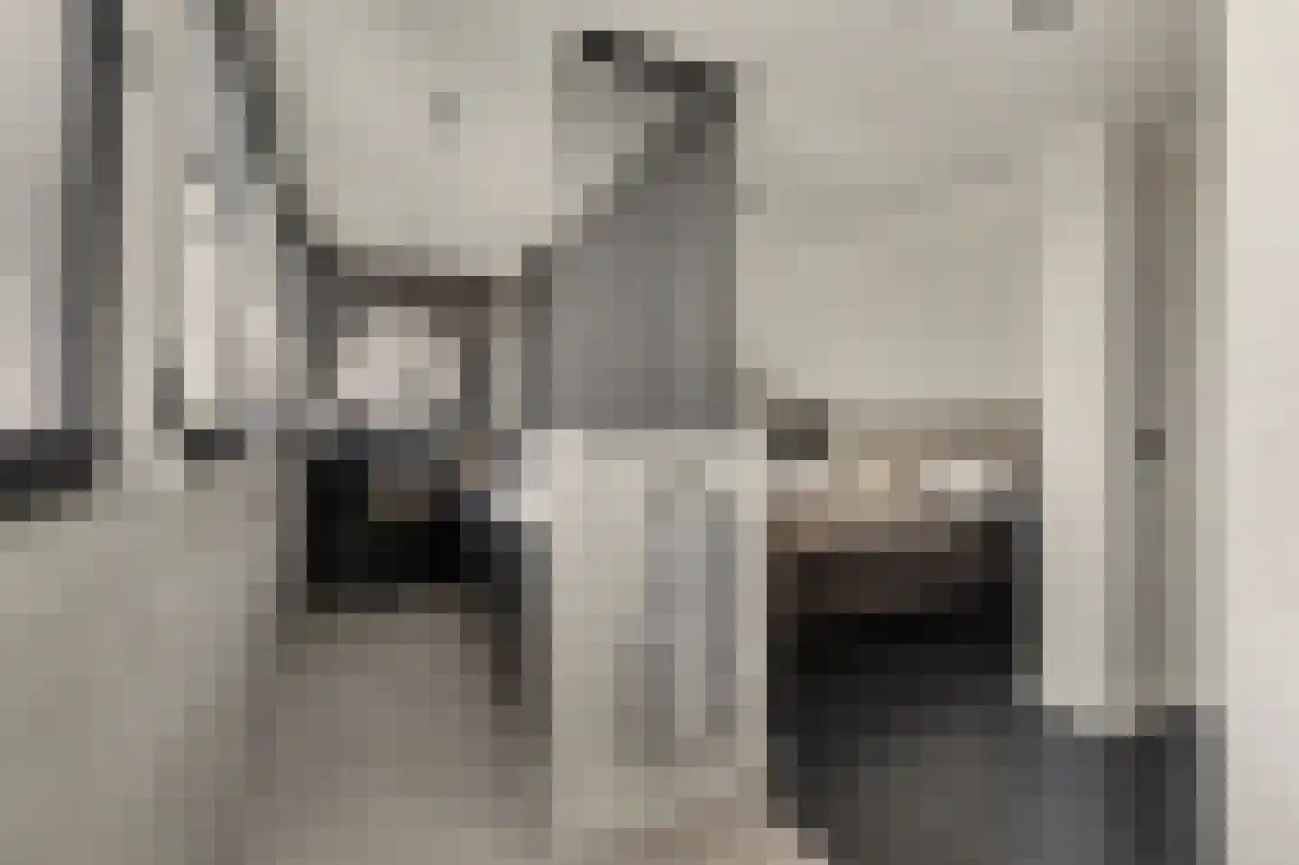 Shepardstraat 4 Hilvarenbeek thumbnail 34