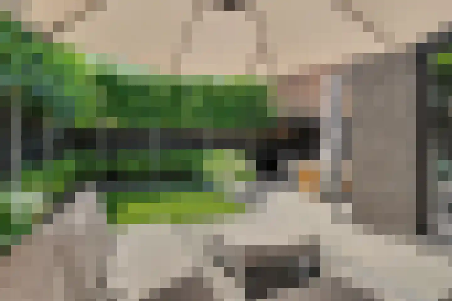 Shepardstraat 4 Hilvarenbeek thumbnail 39