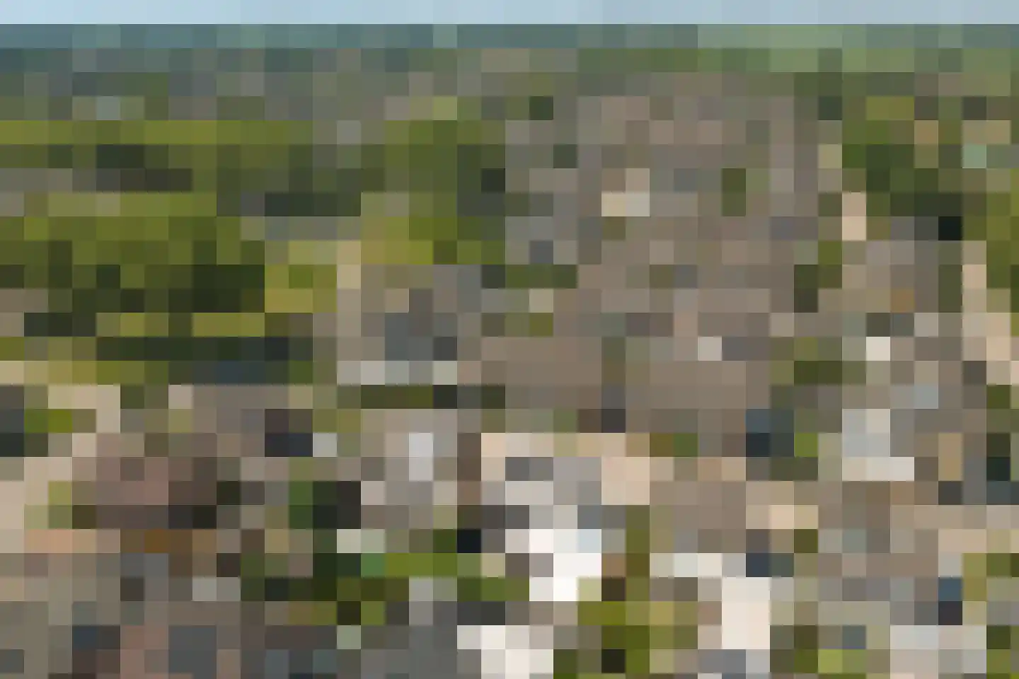 Shepardstraat 4 Hilvarenbeek thumbnail 41