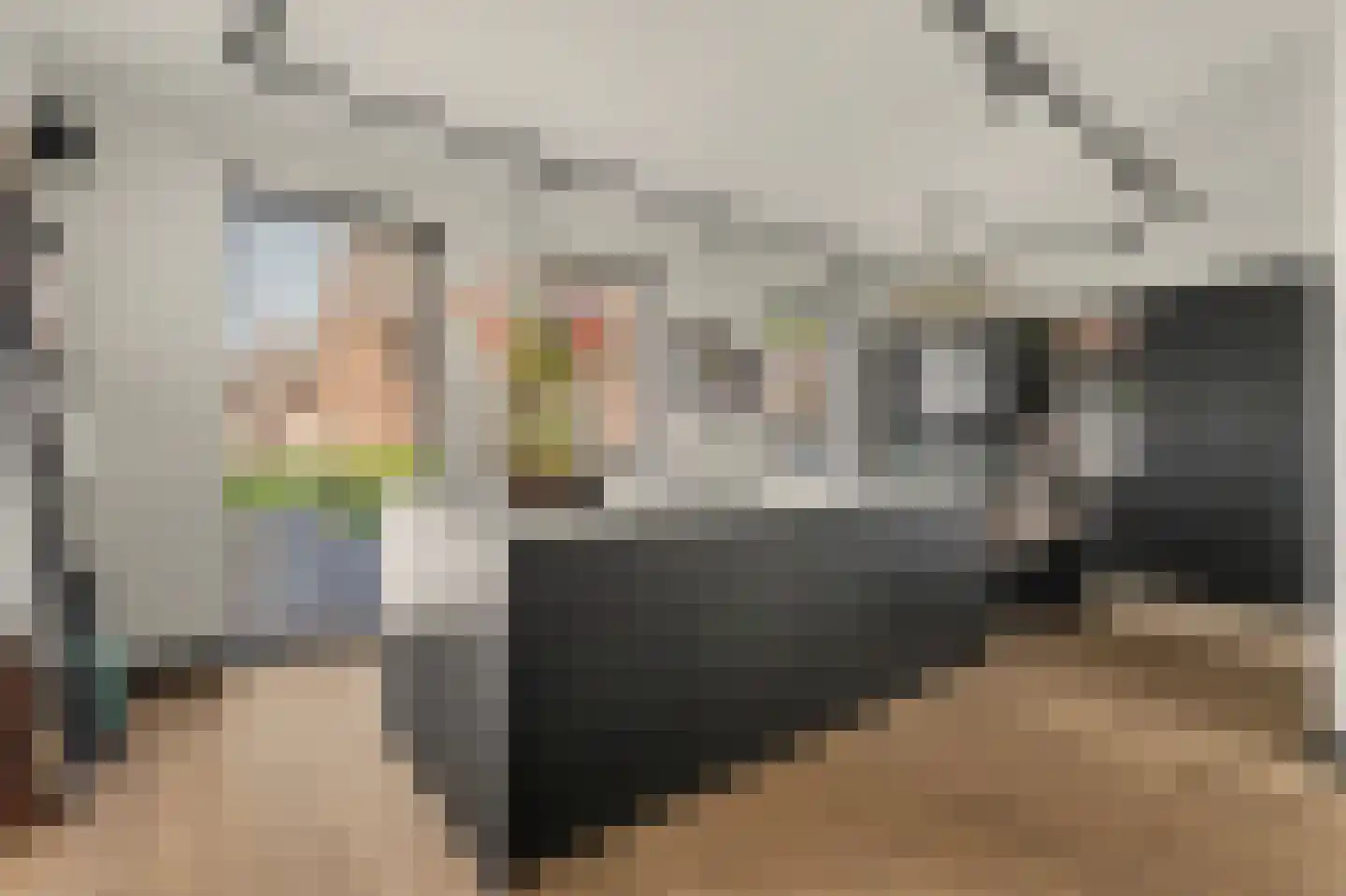 Shepardstraat 4 Hilvarenbeek thumbnail 7