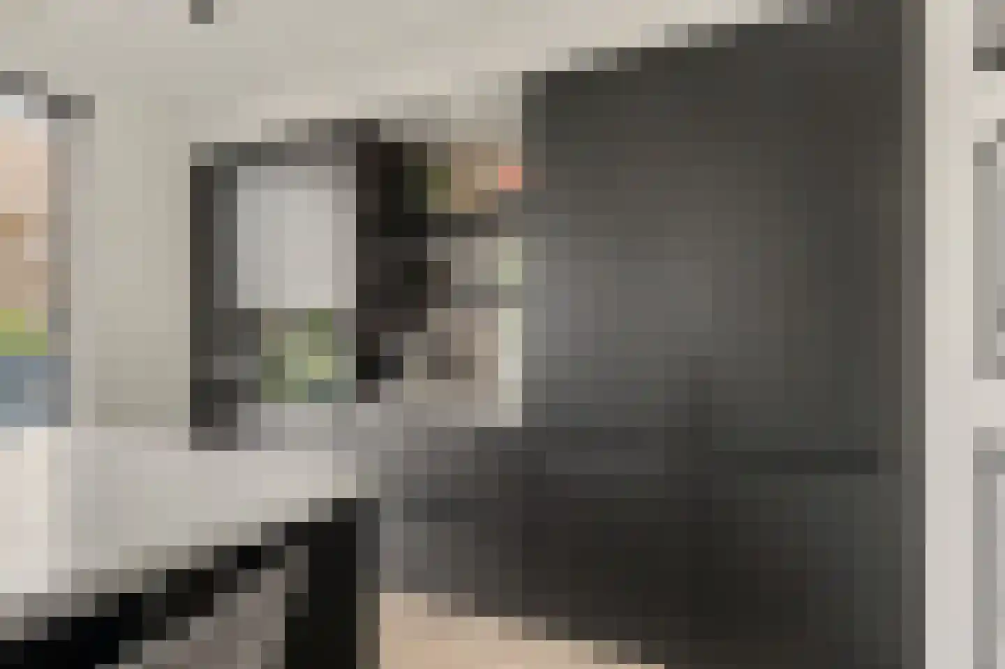 Shepardstraat 4 Hilvarenbeek thumbnail 9