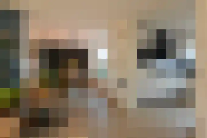 Sheridanzijde 8 Zoetermeer thumbnail 17