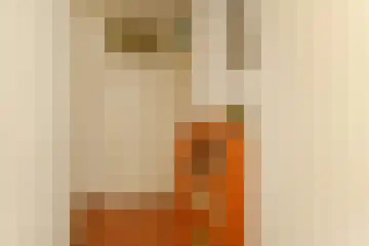 Sheridanzijde 8 Zoetermeer thumbnail 40