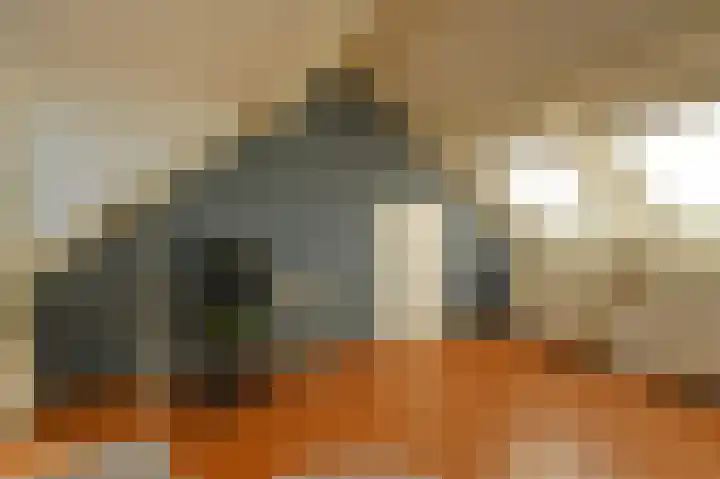 Sheridanzijde 8 Zoetermeer thumbnail 41