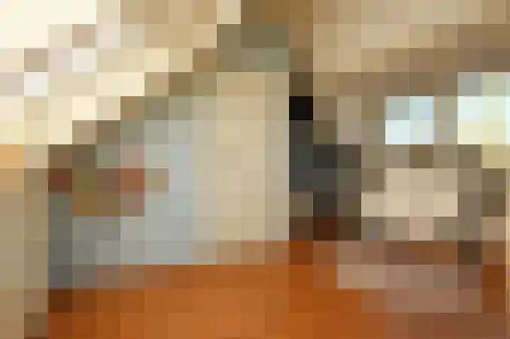Sheridanzijde 8 Zoetermeer thumbnail 43