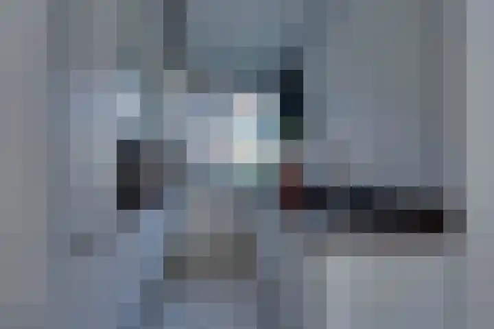 Shetland 190 Zoetermeer thumbnail 12