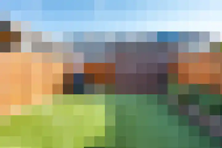 Shetland 190 Zoetermeer thumbnail 17