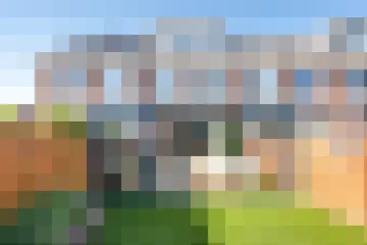 Shetland 190 Zoetermeer thumbnail 18