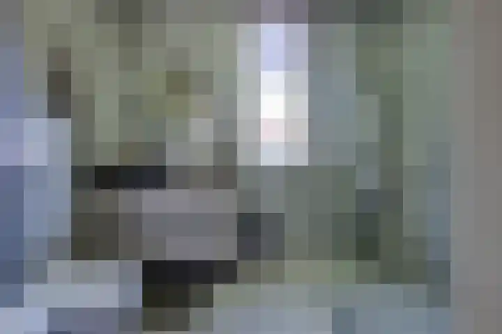Shetland 190 Zoetermeer thumbnail 26
