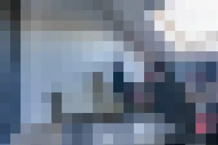 Shetland 190 Zoetermeer thumbnail 29
