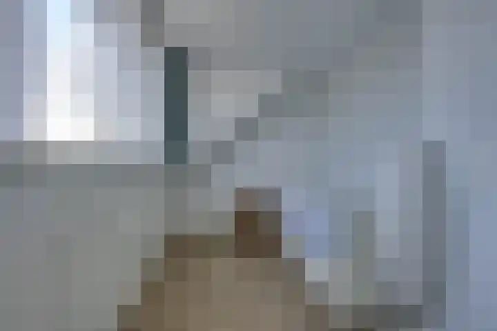 Shetland 190 Zoetermeer thumbnail 31