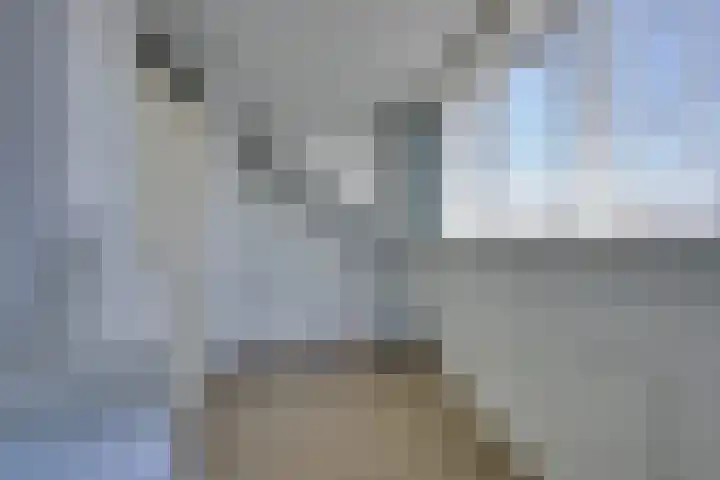 Shetland 190 Zoetermeer thumbnail 32
