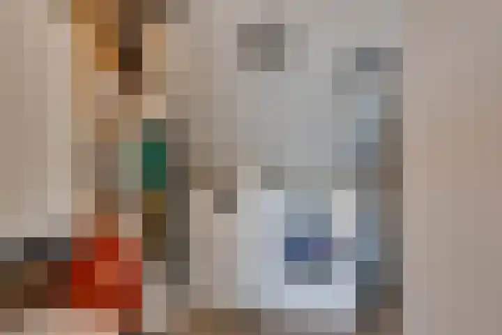 Shetland 190 Zoetermeer thumbnail 33