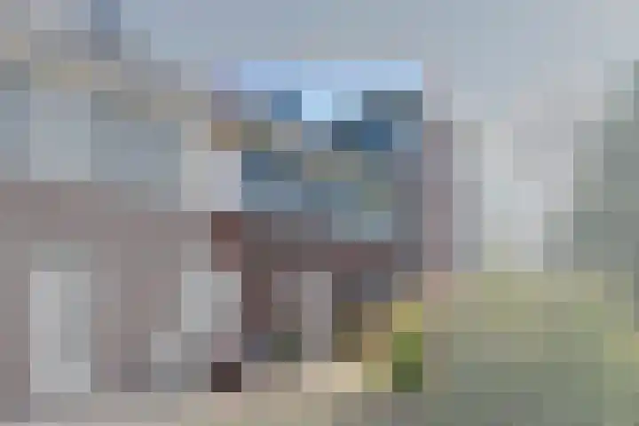 Shetland 190 Zoetermeer thumbnail 34