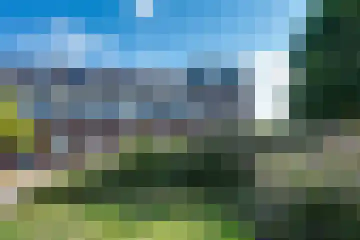 Shetland 190 Zoetermeer thumbnail 36