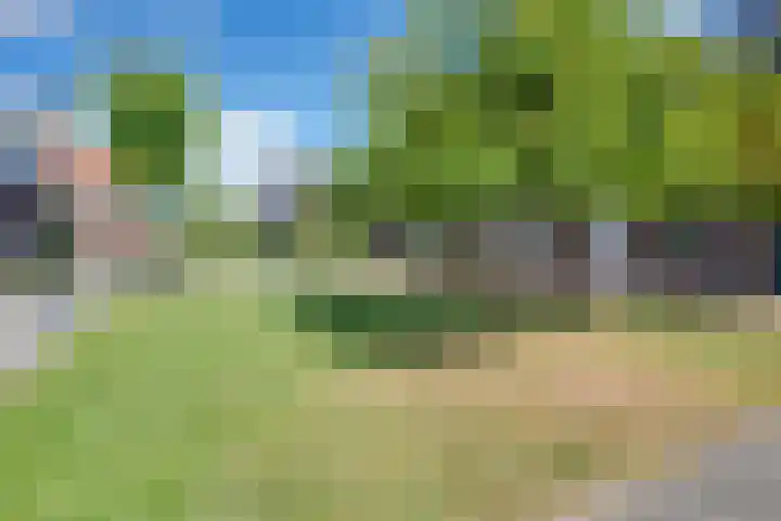 Shetland 190 Zoetermeer thumbnail 37