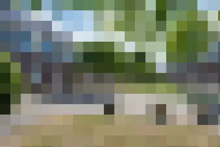 Shetland 190 Zoetermeer thumbnail 38