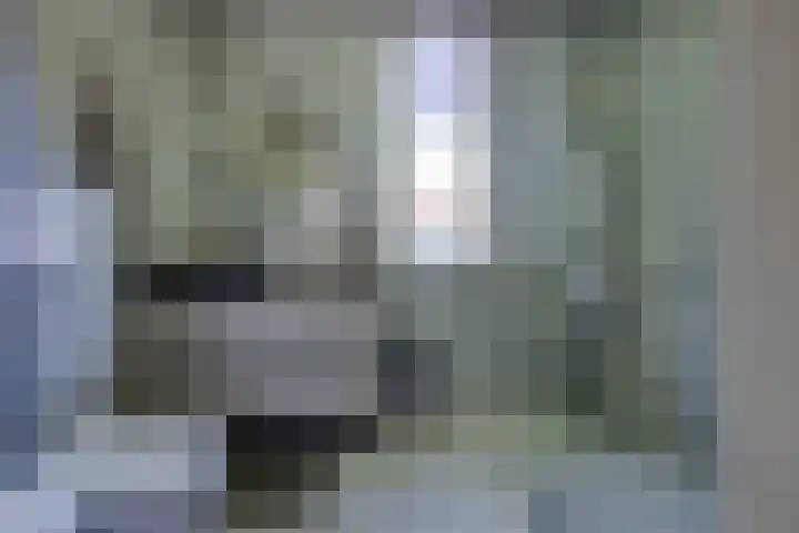 Shetland 190 Zoetermeer thumbnail 5