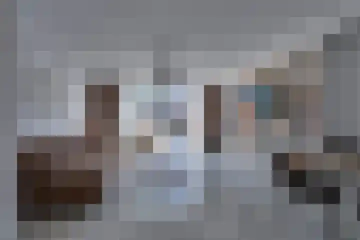 Shetland 190 Zoetermeer thumbnail 9