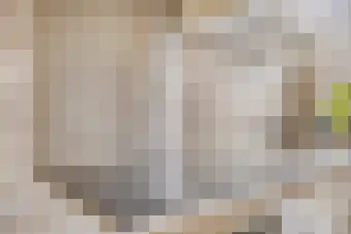 Shetland 25 Zoetermeer thumbnail 18
