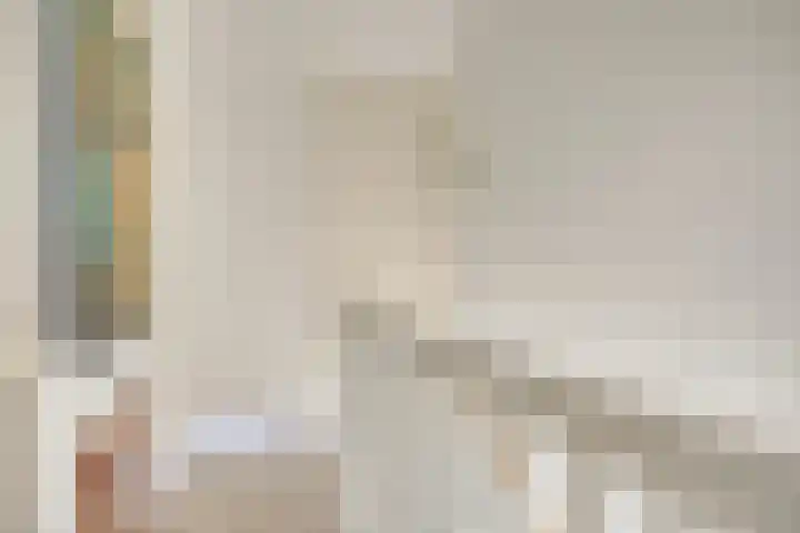 Shetland 25 Zoetermeer thumbnail 28