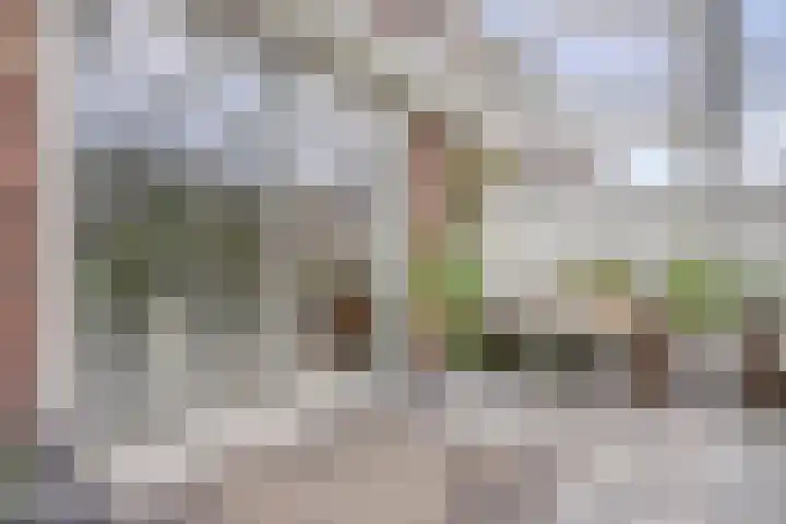 Shetland 25 Zoetermeer thumbnail 33