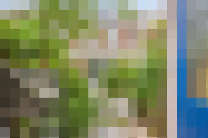 Shetland 25 Zoetermeer thumbnail 35