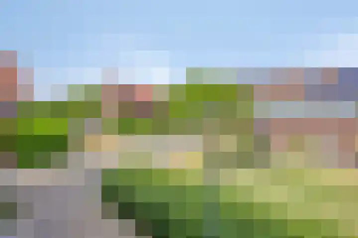 Shetland 25 Zoetermeer thumbnail 37