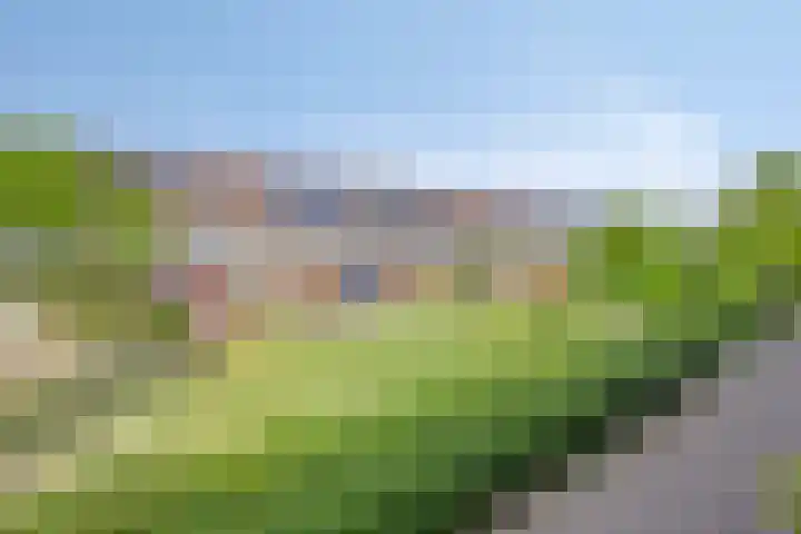 Shetland 25 Zoetermeer thumbnail 38