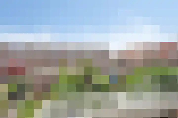 Shetland 25 Zoetermeer thumbnail 39