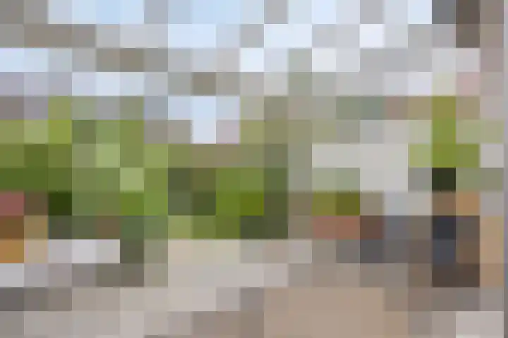 Shetland 25 Zoetermeer thumbnail 4
