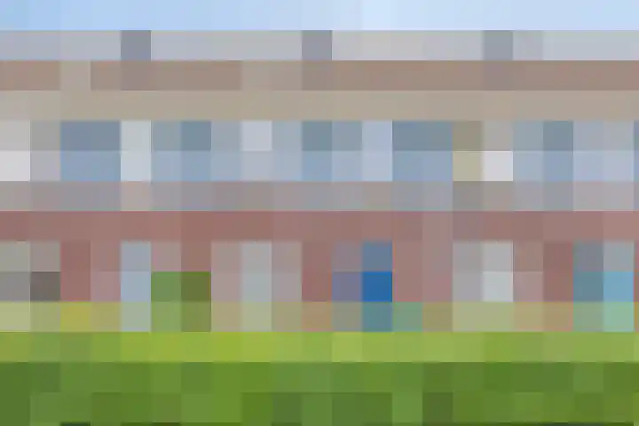 Shetland 25 Zoetermeer thumbnail 44