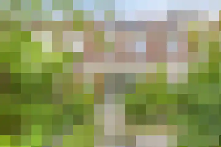 Shetland 25 Zoetermeer thumbnail 5