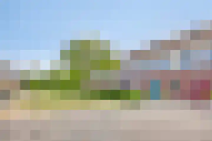 Shetland 25 Zoetermeer thumbnail 6