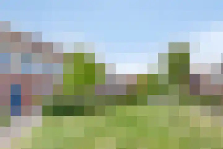 Shetland 25 Zoetermeer thumbnail 9