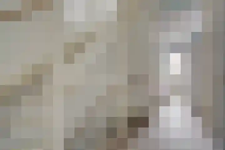 Shetlandpad 14 Zoetermeer thumbnail 24